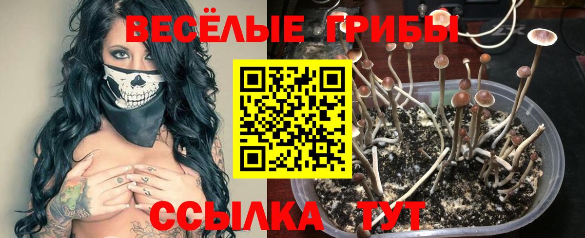 Псилоцибиновые грибы MAGIC MUSHROOMS Барнаул