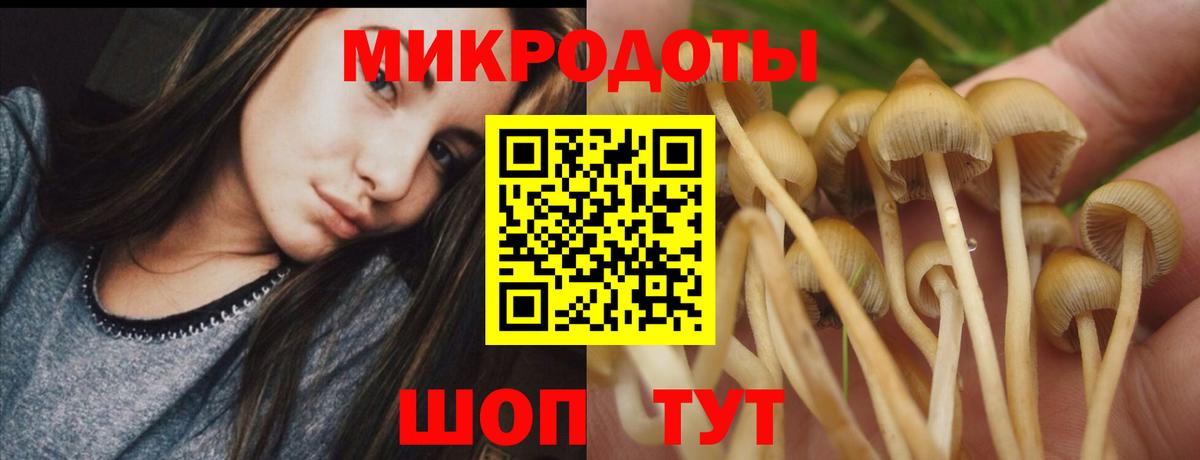 Галлюциногенные грибы ЛСД  Вход с VPN  Барнаул 